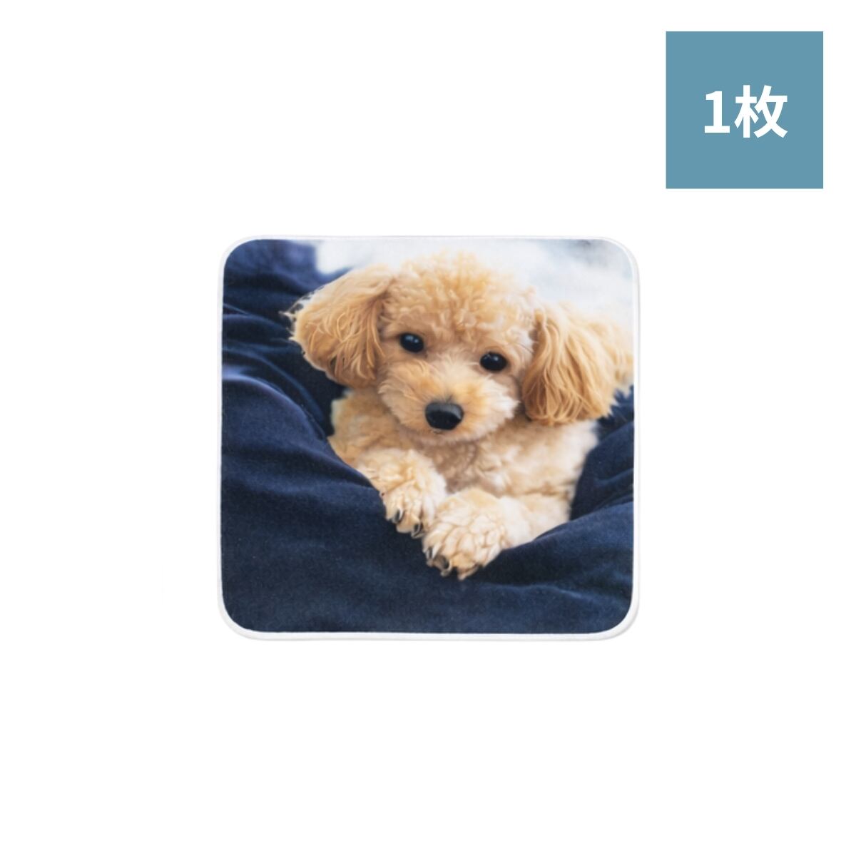 【おもいで】犬猫ハンドタオル1枚(全面プリント)