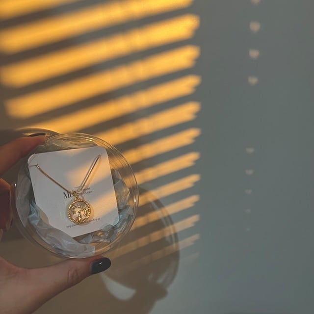 てんびん座〉星座シェル コインネックレス 18KGPサージカルステンレス