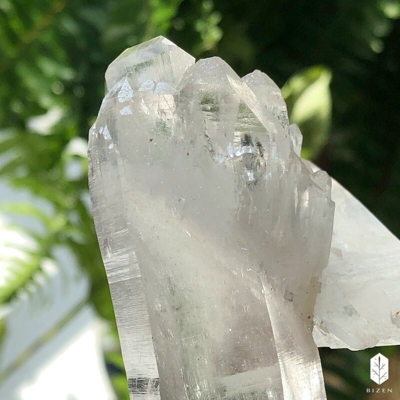 マニハール水晶 サボテンさん♪ | BIZEN Crystals