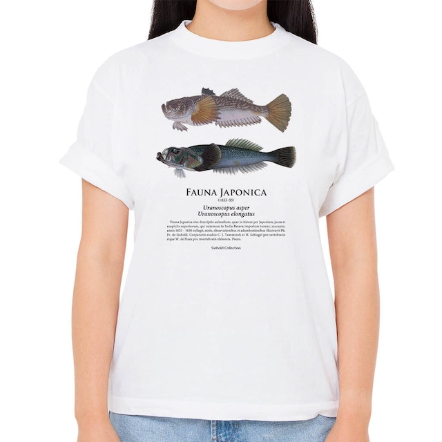 【ミシマオコゼ・アオミシマ】シーボルトコレクション魚譜Tシャツ（高解像・昇華プリント）