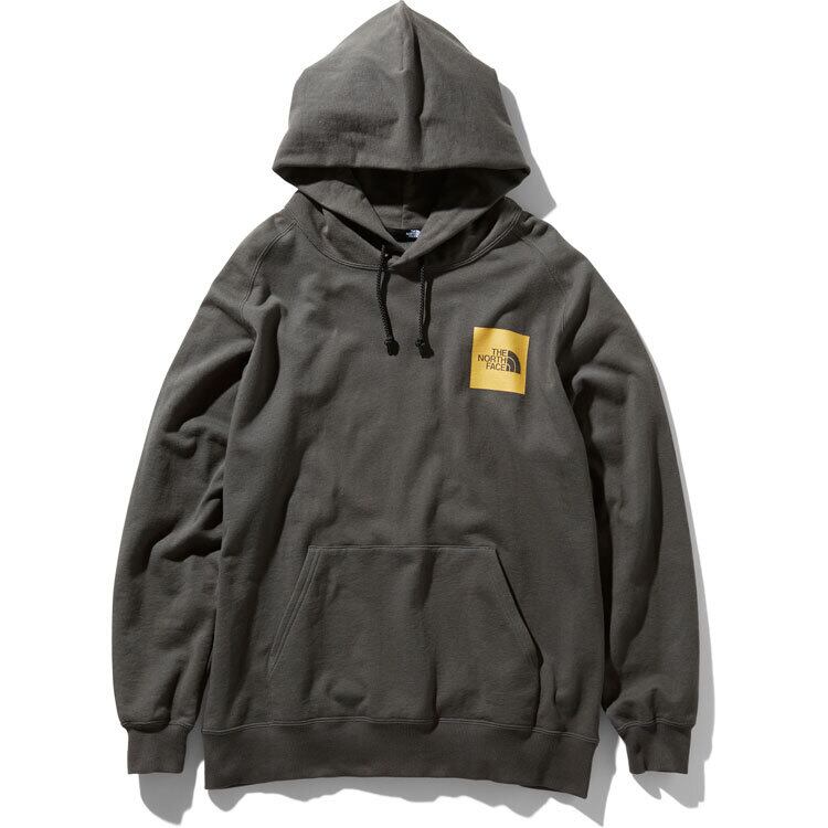 THE NORTH FACE (ザノースフェイス) レイジロングスリーブスウェットフーディー (AG)アスファルトグレー NT61965