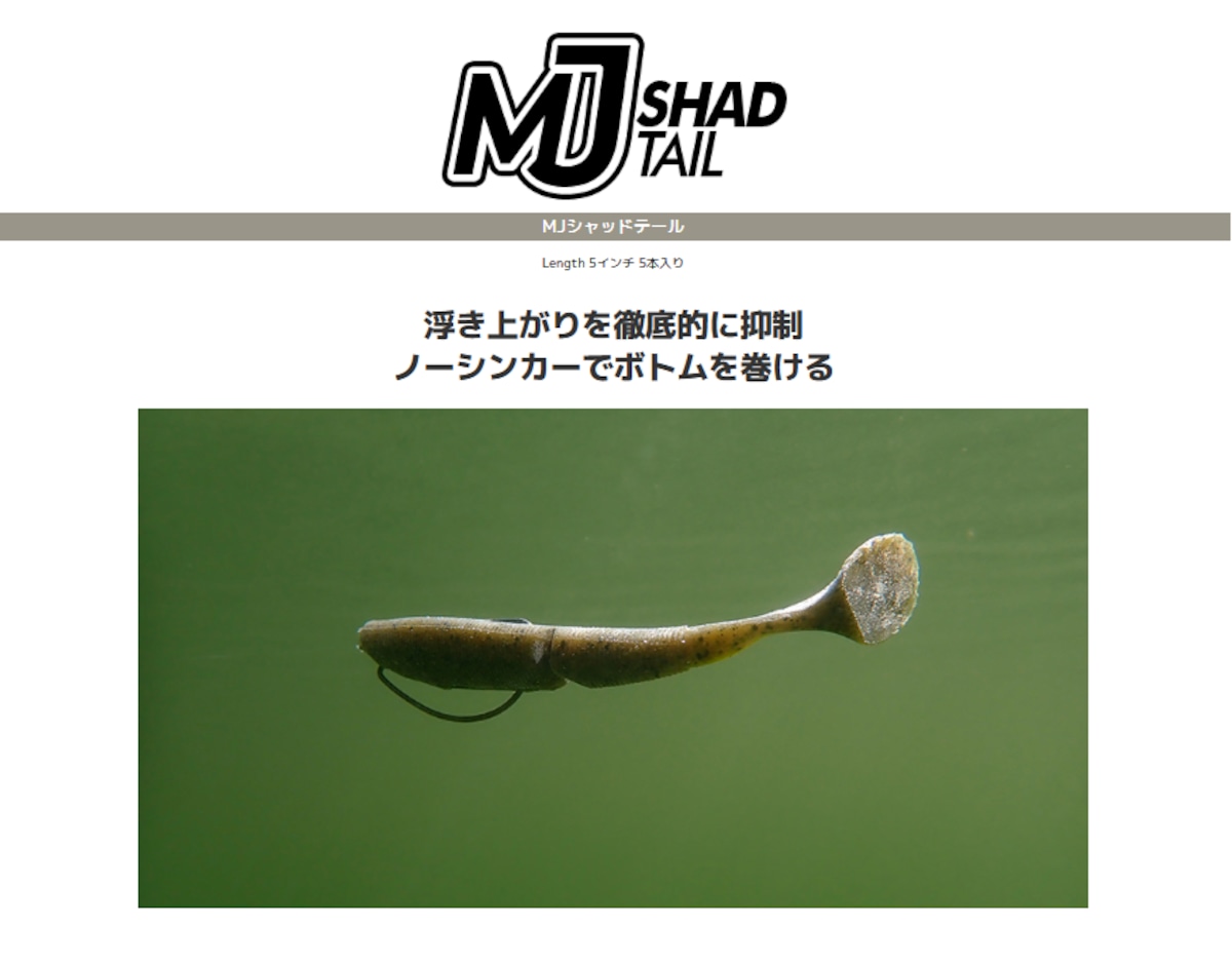 BAUM BOFU 55 4色 ご予約専用！各色1個までのご予約可能！