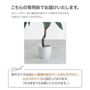 【高さ120cm】Nature 光触媒人工観葉植物　ベンジャミン