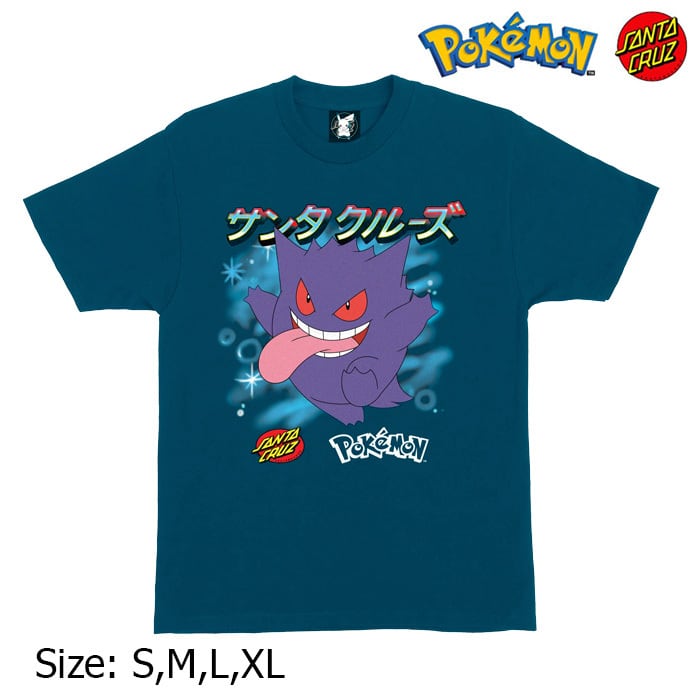 POKEMON SANTA CRUZ S/S-T GHOST TYPE3 ポケモン サンタ