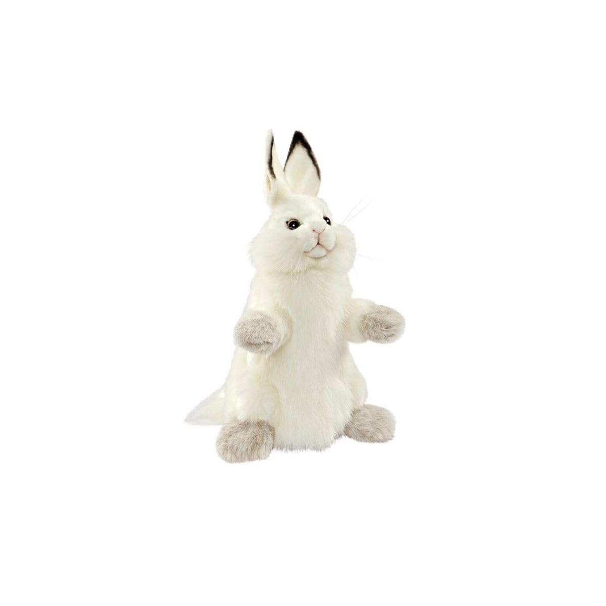メリーソート ピーターラビットアニバーサリー限定品 Merry メリーソート ピーターラビットアニバーサリー限定品 Merry