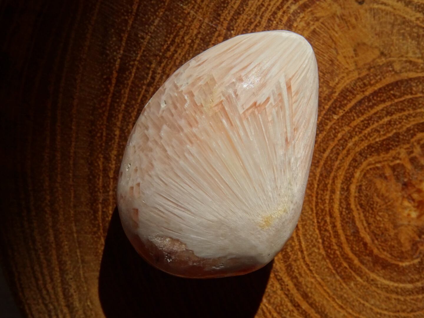 ピンクスコレサイト