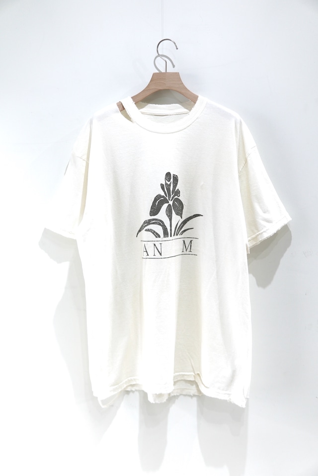 ANCELLM / IRIS T-SHIRT / ANC-CT63 / IVORY