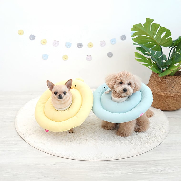 best friend elizabeth collar S ～ M 4color / 犬 エリザベスカラー クッション ソフト 綿 小型犬 中型犬 コットン犬用 枕 カラフル 可愛い ネックカラー 軽い 軽量 嫌がらない 介護 傷なめ防止