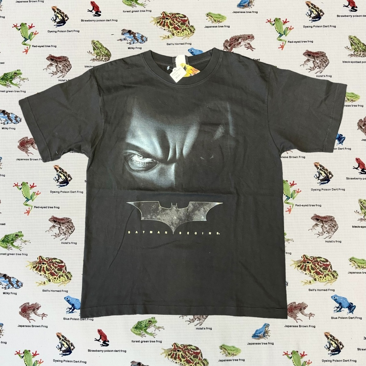 Batman Begins Tシャツ バットマン ビギンズ ワーナーブラザーズ 