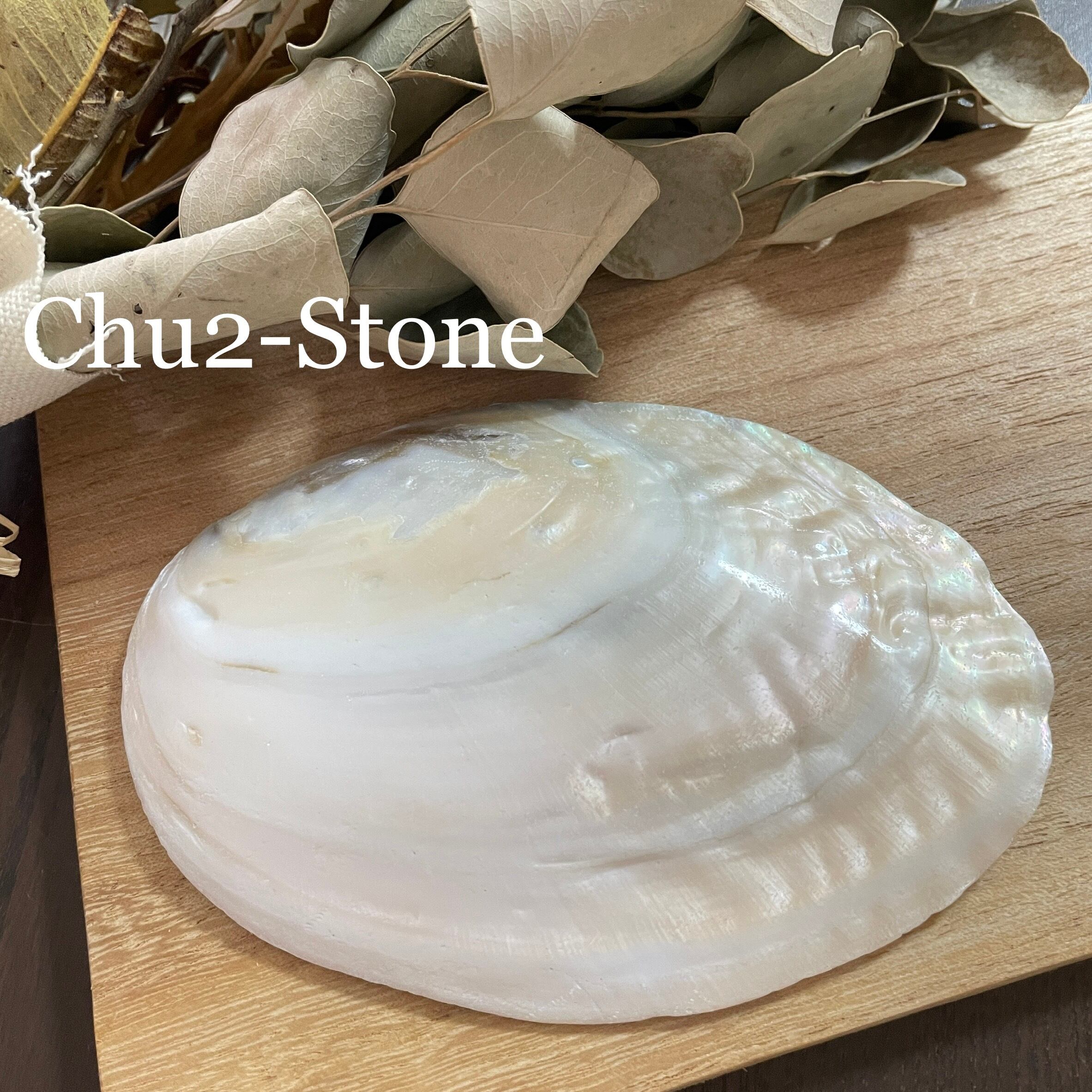 池蝶貝】 淡水真珠の母貝 アクセサリー入れにオススメ A | chu2stone
