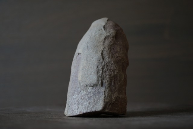 Pecopteris sp. シダ種子類化石 特大 1019