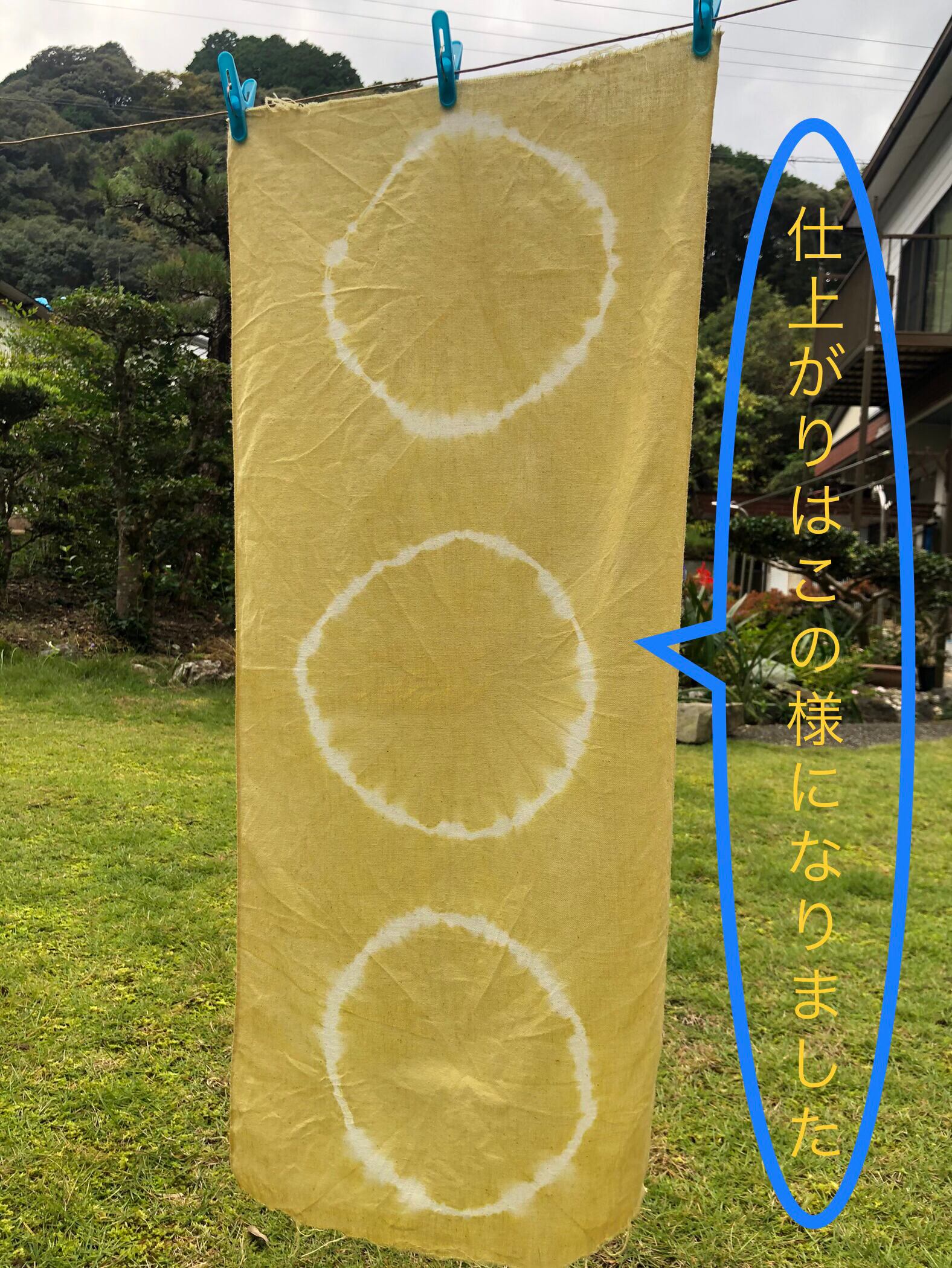 やまもも染めキット