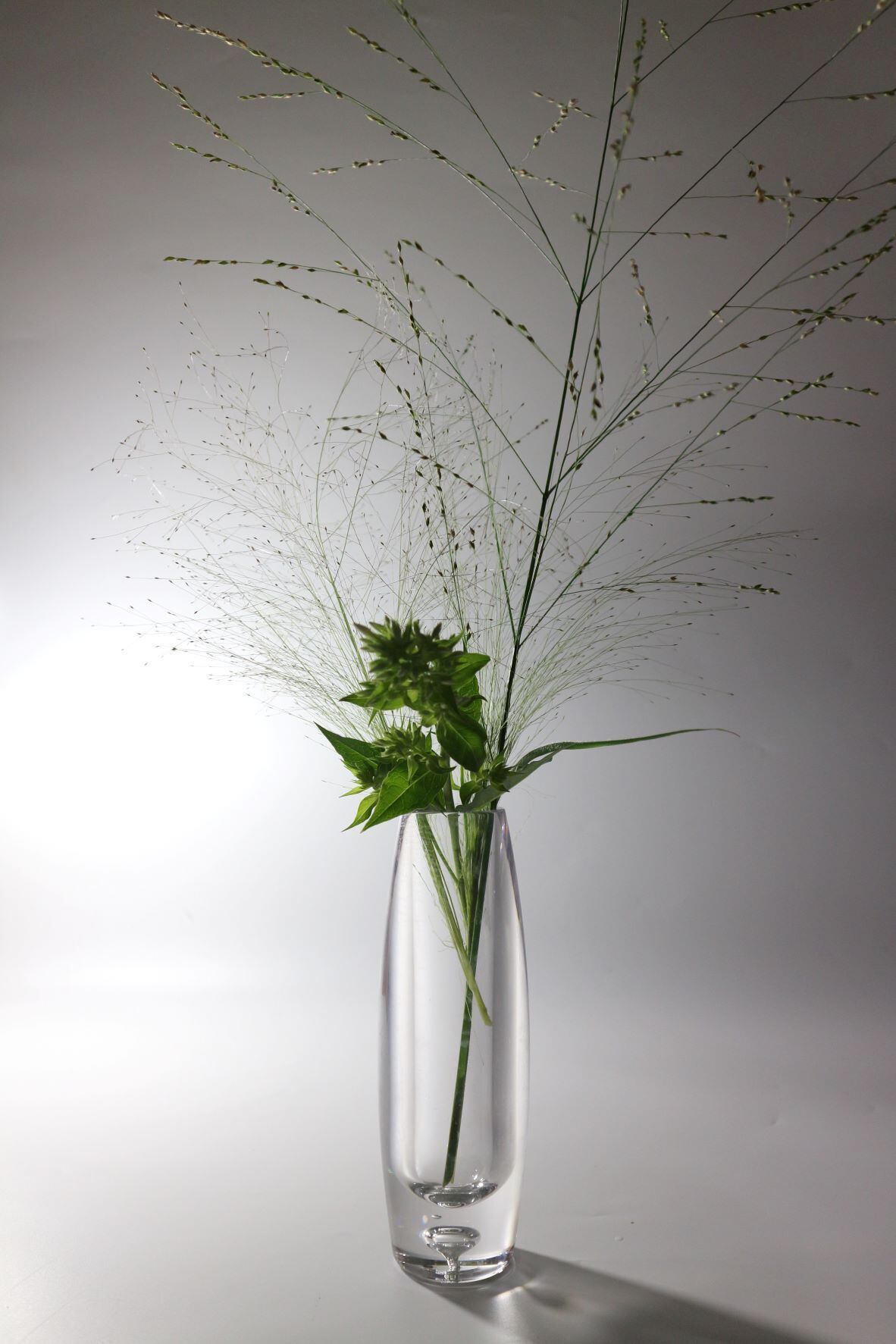 割れない花瓶 ラウンドベーシック Tokbotanic