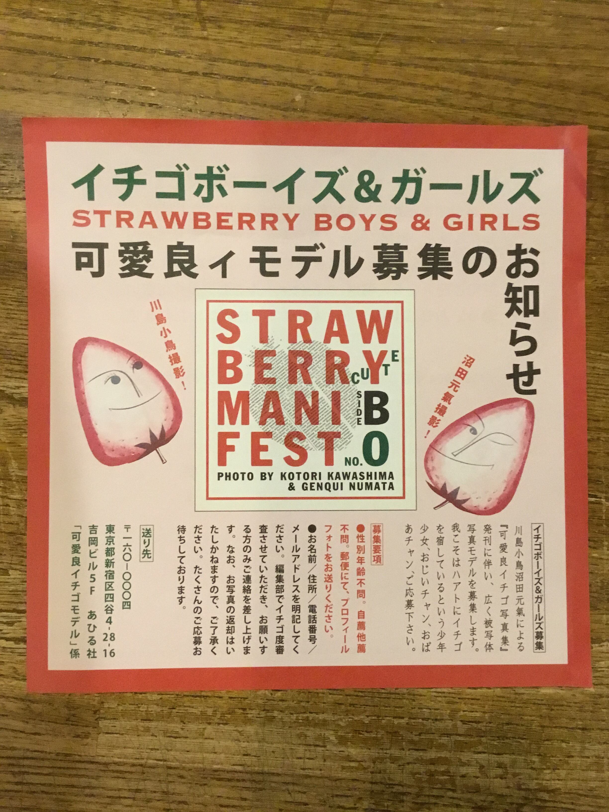 イチゴ宣言 創刊0号 / 沼田元氣、川島小鳥 | 百年