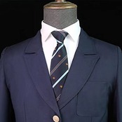 [SHUCLASS] スクールネクタイ 女子 制服 ストライプ 多種選択可 男女兼用 中学生 高校生 通学用 紺ストライプ