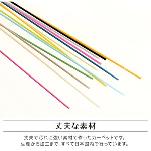 ファーム 江戸間6畳 261X352 絨毯 ラグ 洗える カーペット レジャーシート アウトドア 丈夫 日本製 ござ PPカーペット