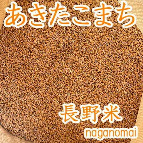 お米 籾米30キロ 令和4年長野県産「あきたこまち」一等級米 送料無料
