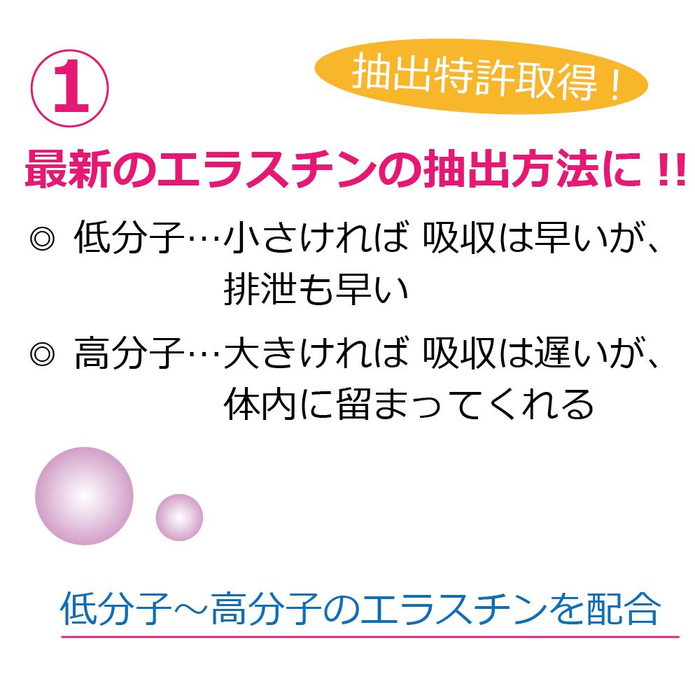 レコンテ バイオエラスチン ③