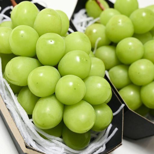 FARMセレクト 予約注文 2箱セット｜朝採り新鮮！ 産地直送 山梨県産