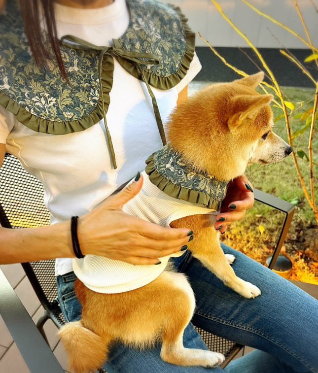 予約】お揃いつけ襟(犬用) | Pay ID