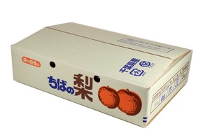 富里市産梨（２Lサイズ） 15,16玉