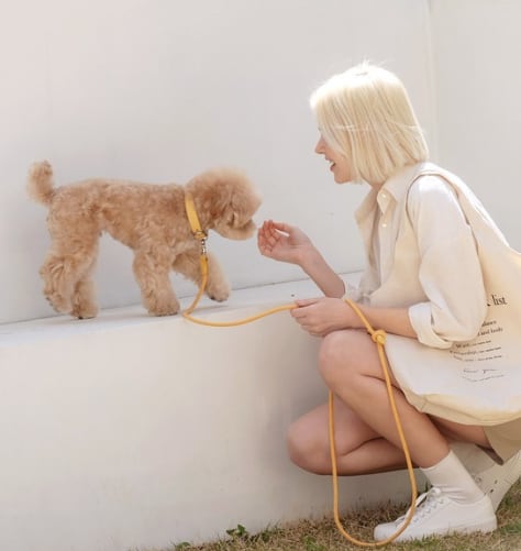 即納【stroll】Rope Leash Slim (Banana)