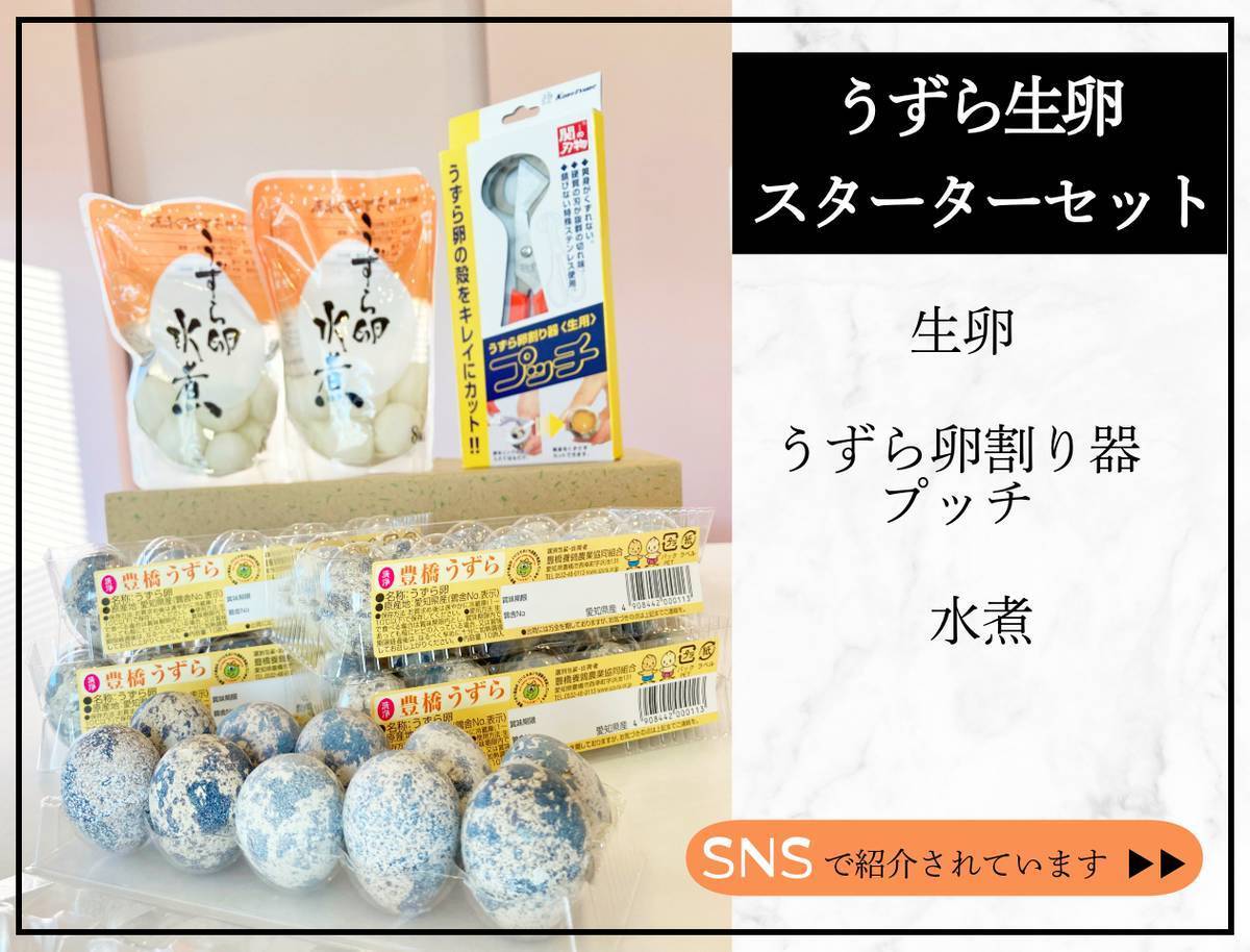 うろつく玉座　2枚セット 生食用殻付き鶉卵 スターターセット | 豊橋養鶉農業協同組合