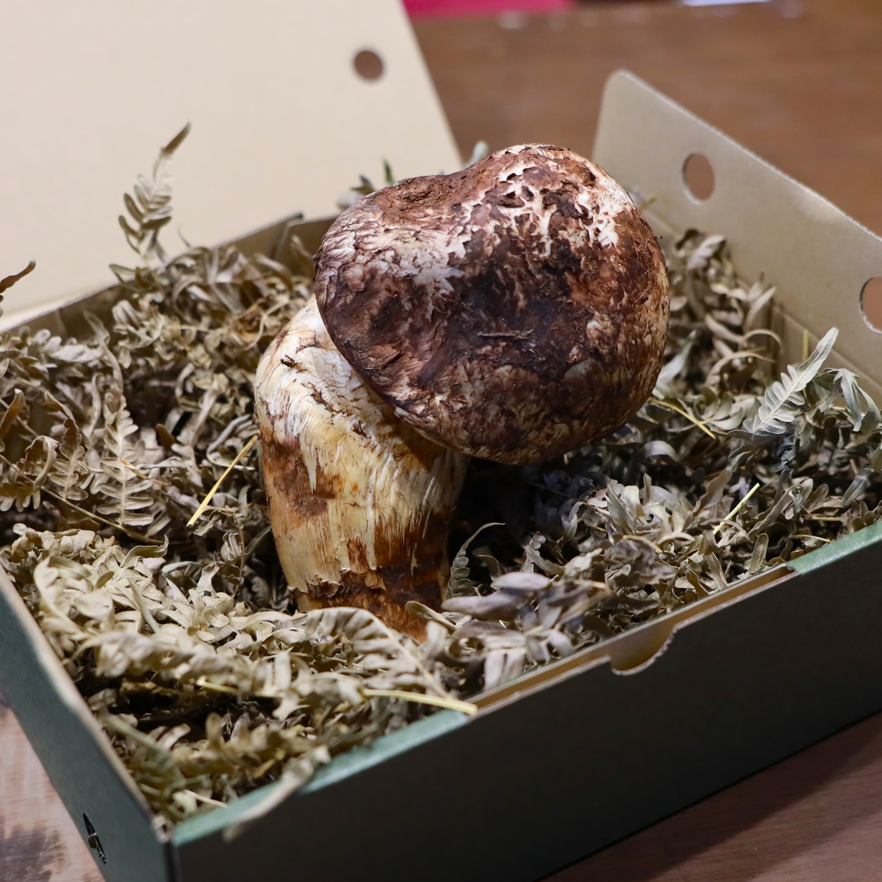 ゴロ TSU KING! 180g