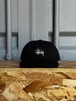 STUSSY STOCK LOW PRO CAP (black)