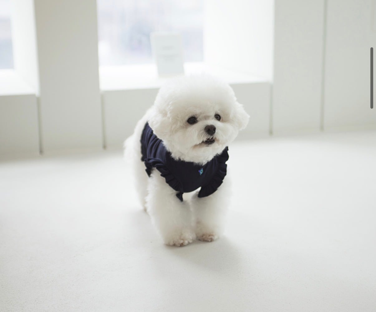 【Coco Chen 】ルセラTシャツ