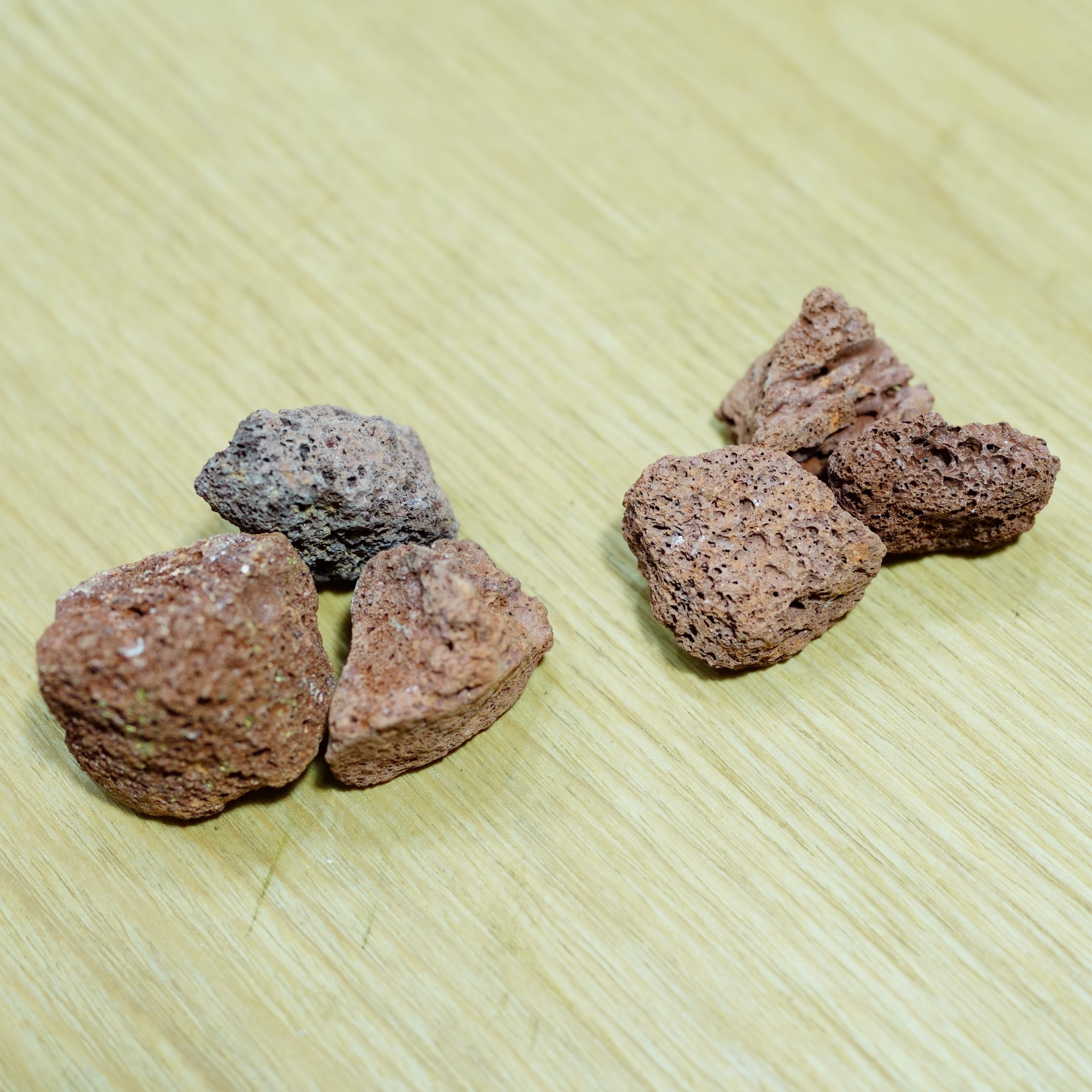溶岩石ミニ&SS6個セット 苔テラリウム用 | 栽培苔と苔テラリウム用品の
