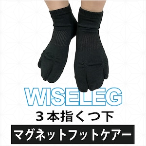 送料込み【管理医療機器】マグネットフットケアーWISELEG(ワイズレック）3本指くつ下