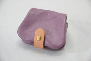 コインケースα