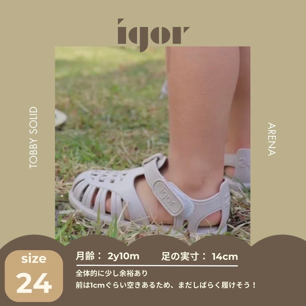 【即納/送料無料】igor / TOBBY SOLID / ARENA