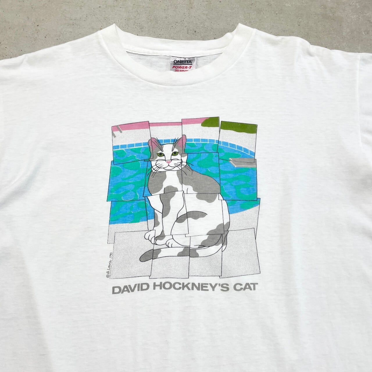90年代 DAVID HOCKNEY'S CAT アートプリントTシャツ アニマル 猫 90年代 DAVID HOCKNEY'S CAT アートプリントTシャツ アニマル 猫