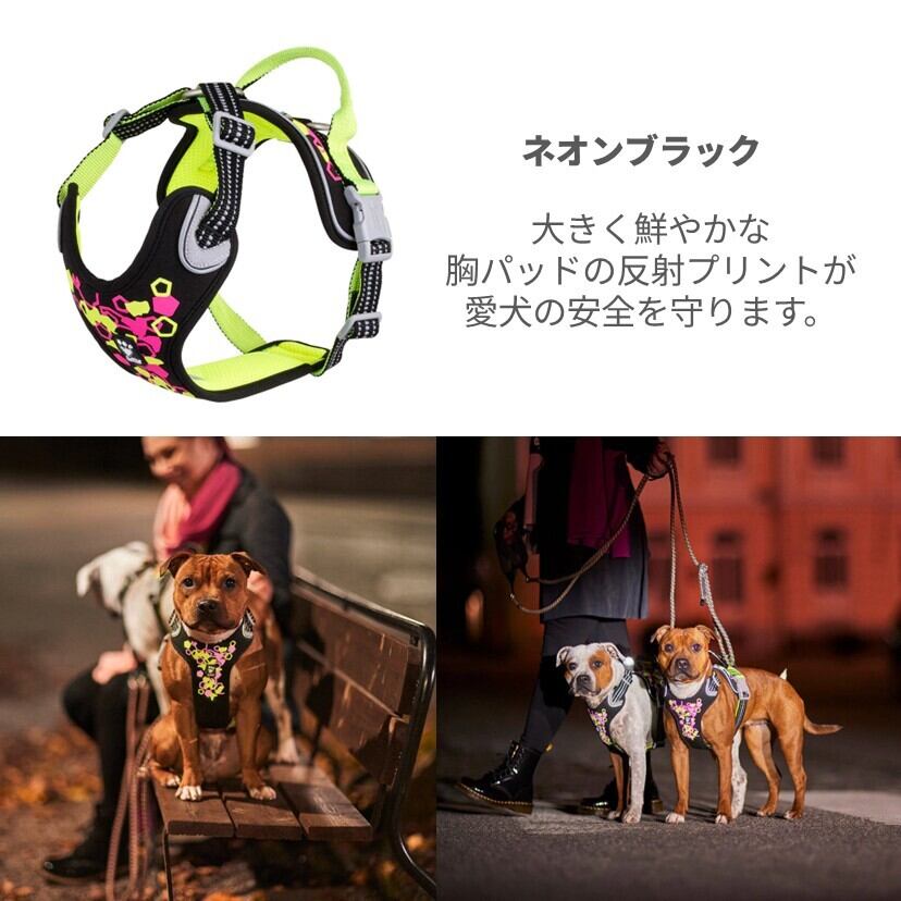たばいぬ② フィンランドのドッグブランド【Hurtta】【フルッタ】【ウォーリア
