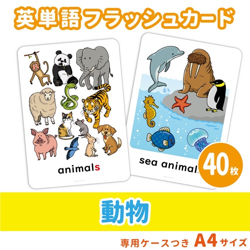 【英単語フラッシュカード】   動物の英単語セット／A4サイズ／40枚