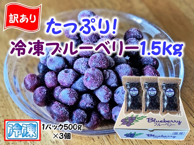 【訳あり】冷凍ブルーベリー1.5㎏（フリーザーパック500ｇ×3個）