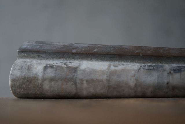 湖北省産頭足類化石 Sinoceras chinense 1662