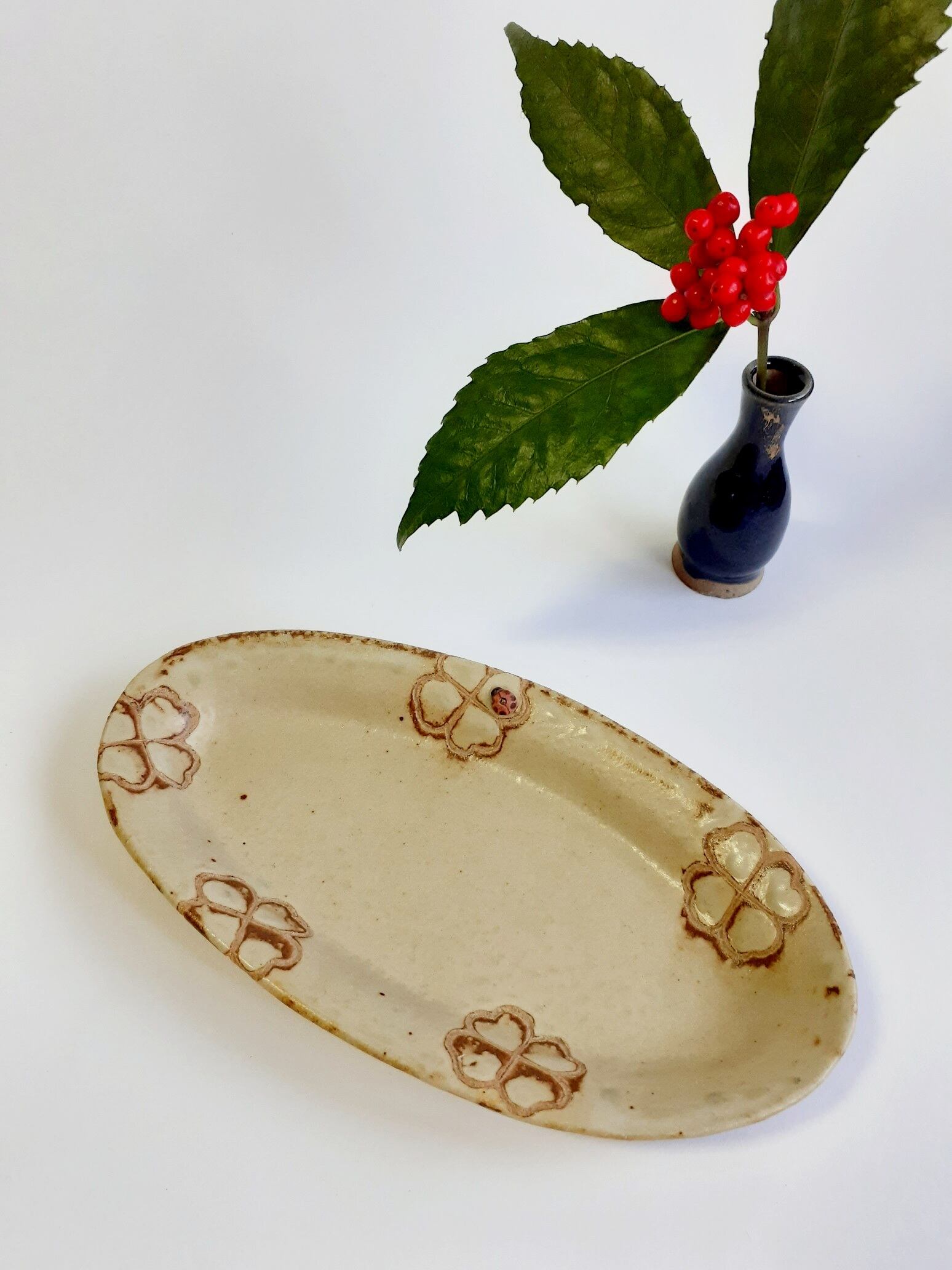 てんとう虫のお皿 | shop&galleryいつか月をつかまえる