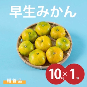 【早生みかん】贈答品用 10kg/1箱