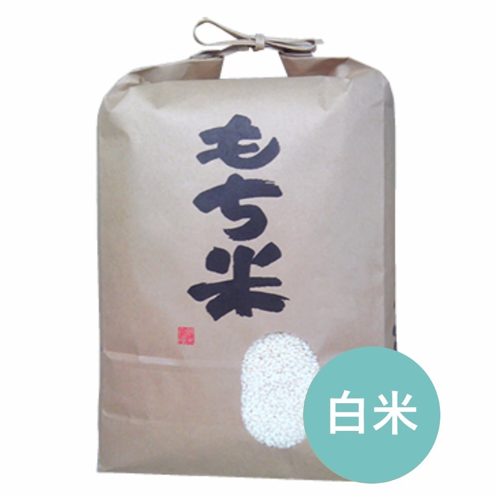 71%以上節約 もち米 10kg