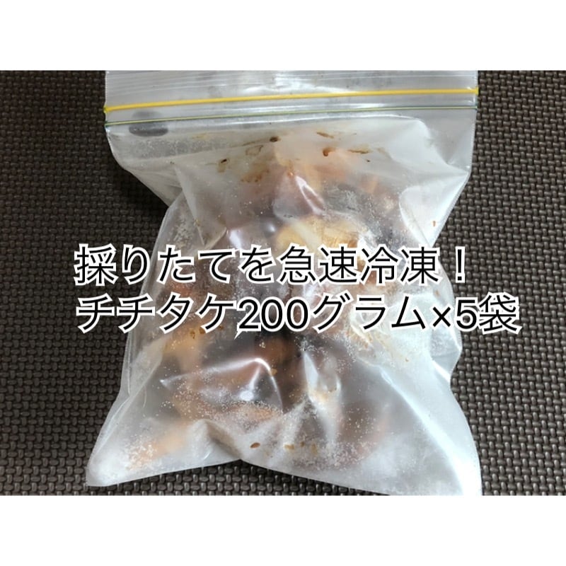 ☆訳あり品☆急速冷凍チチタケ☆1袋200グラム×5袋で計1キログラム