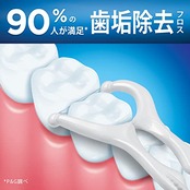 オーラルB フロスピック Y字型 30本入