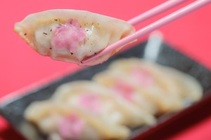 パンダ餃子梅しそレモン　16個入り