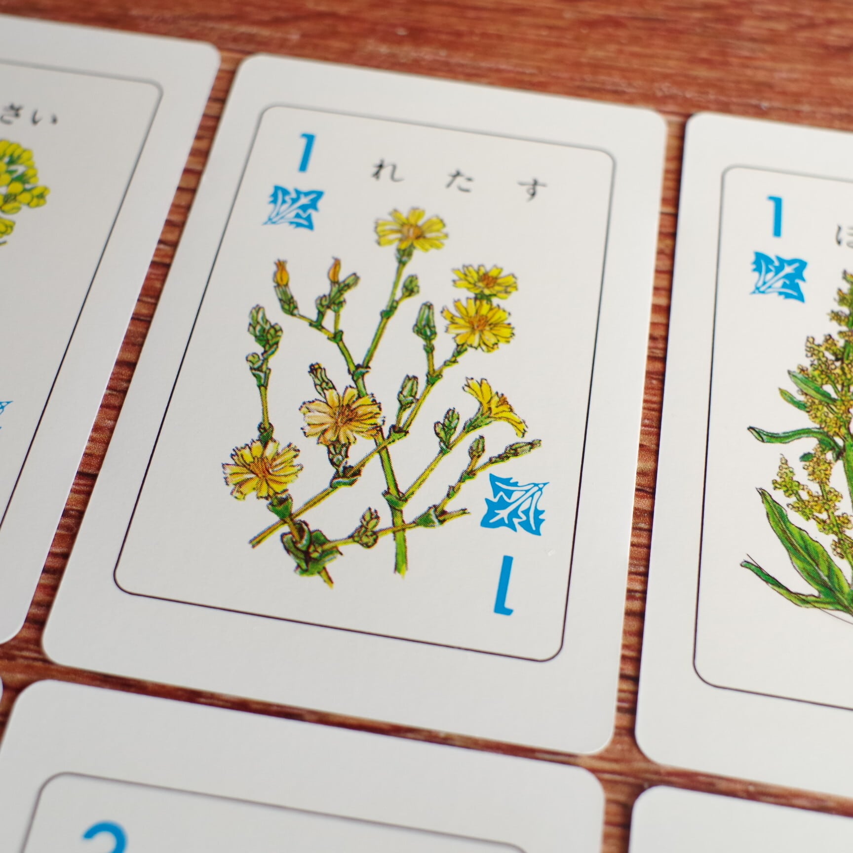 野菜カード | 木のおもちゃ専門店 おもちゃ箱 イカロス 公式オンライン
