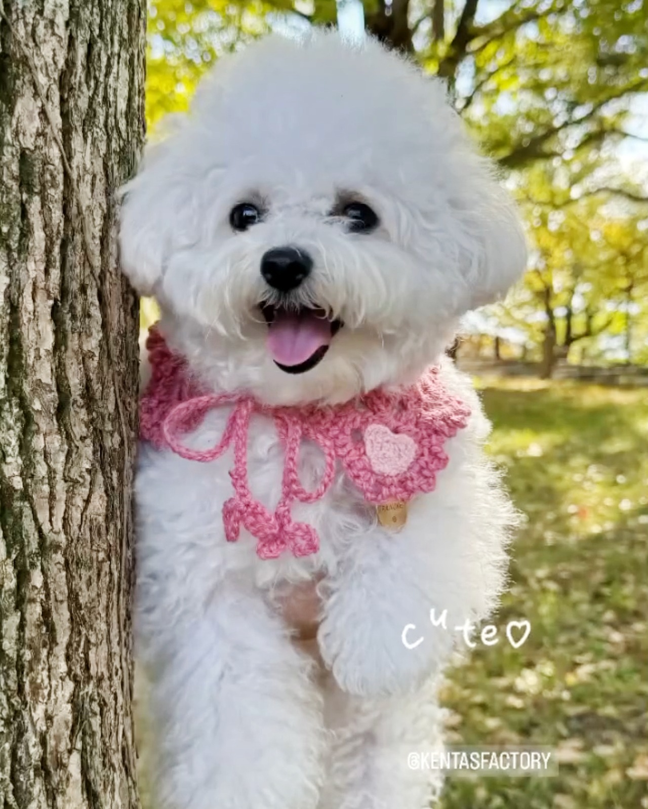 ご購入前のお願い♡ | kentafactory