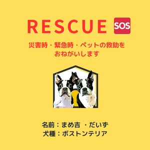 塩ビ素材ステッカー1枚　【レスキュー】　