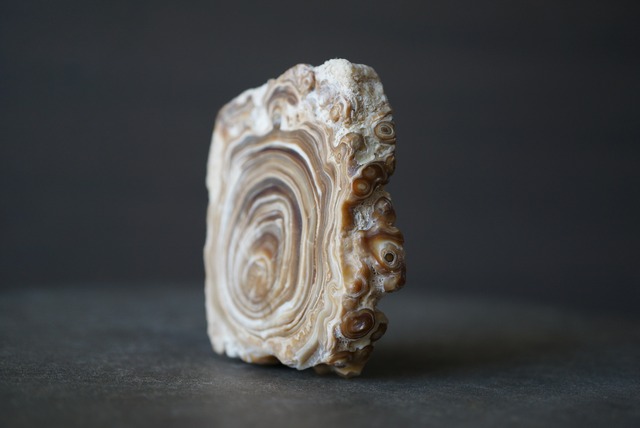 モロッコ産カルサイト/アラゴナイト Calcite / Aragonite 1860