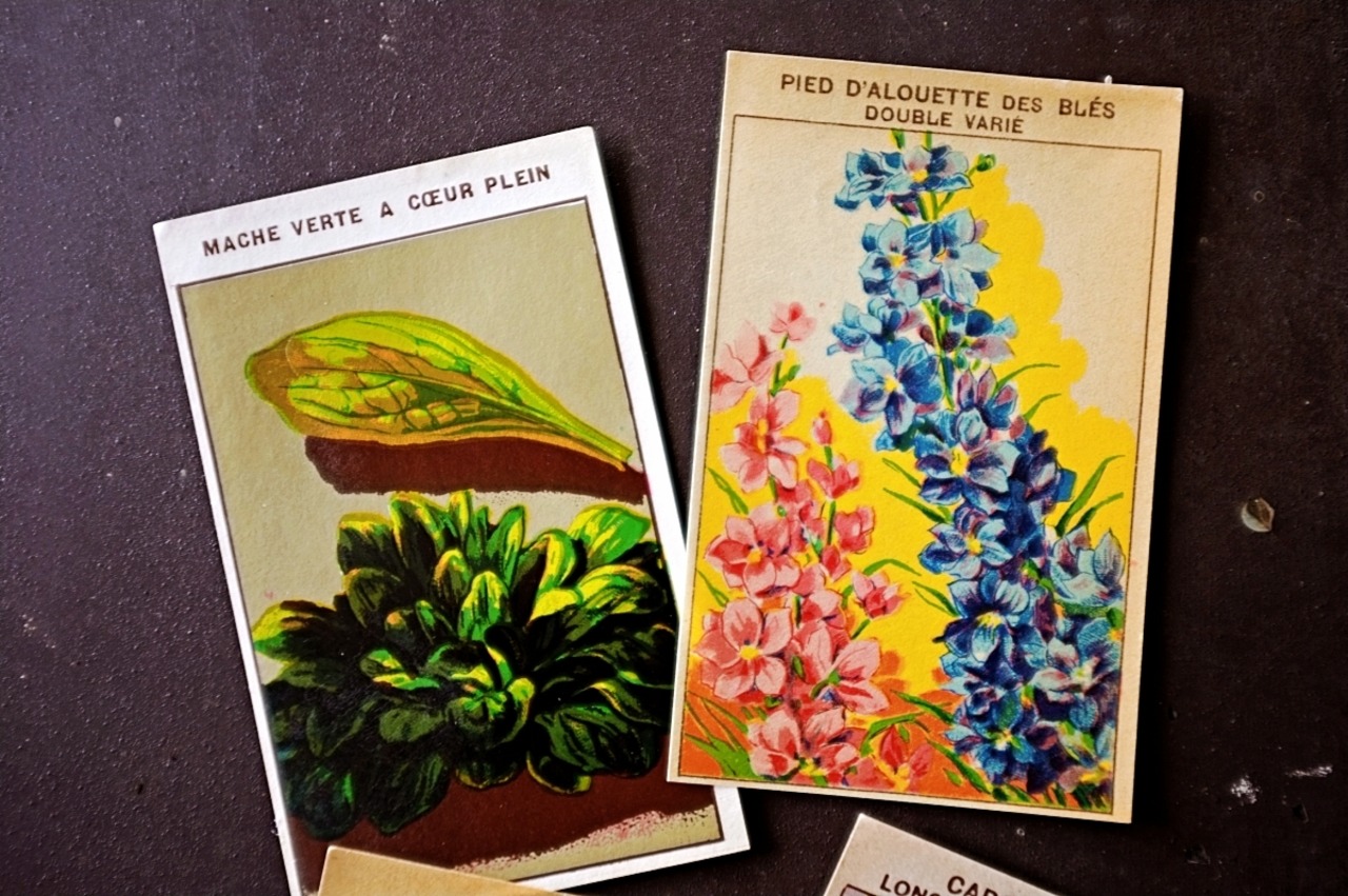 20s フランス 4set 膨満な花々と野菜たち 種子袋用ラベルw アンティーク